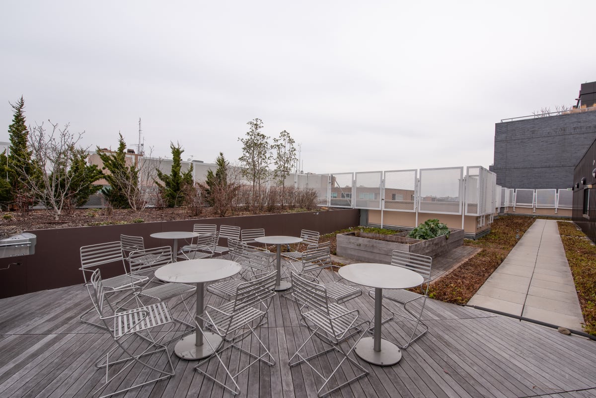 Photos and Video of Portner Flats in Washington, DC